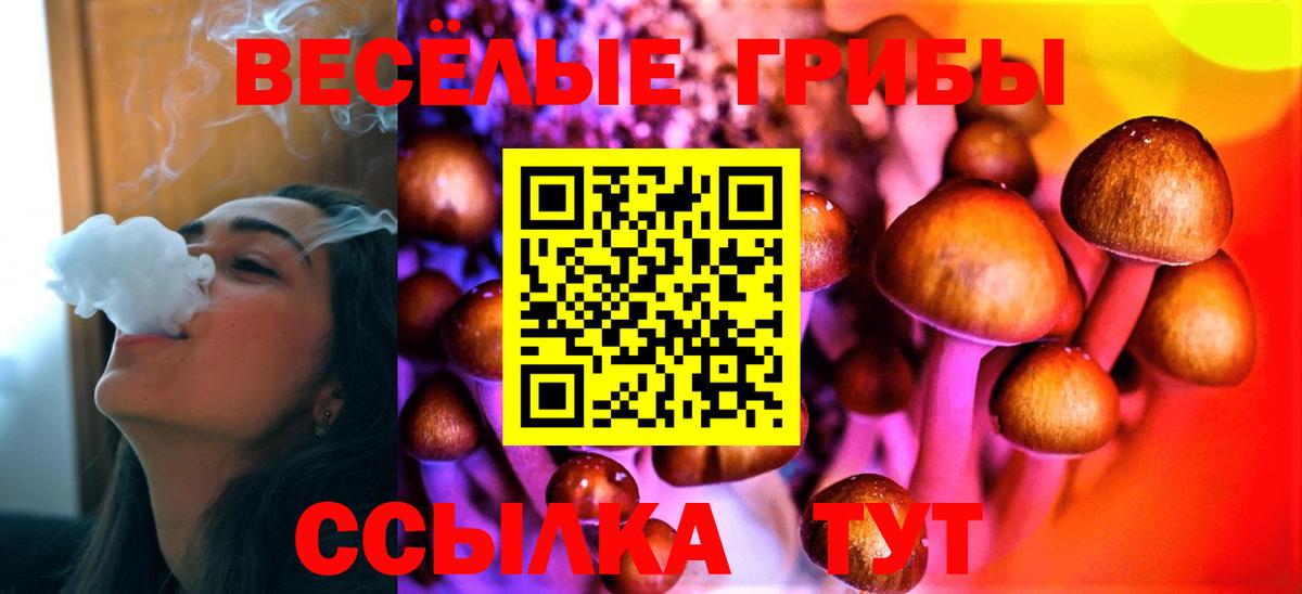 Псилоцибиновые грибы GOLDEN TEACHER Буйнакск